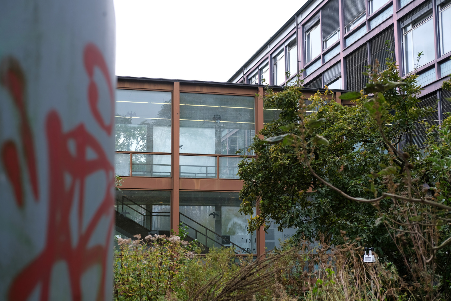 Modernes Gebäude mit Glasfassade, umgeben von Pflanzen und urbanem Graffiti im Vordergrund.