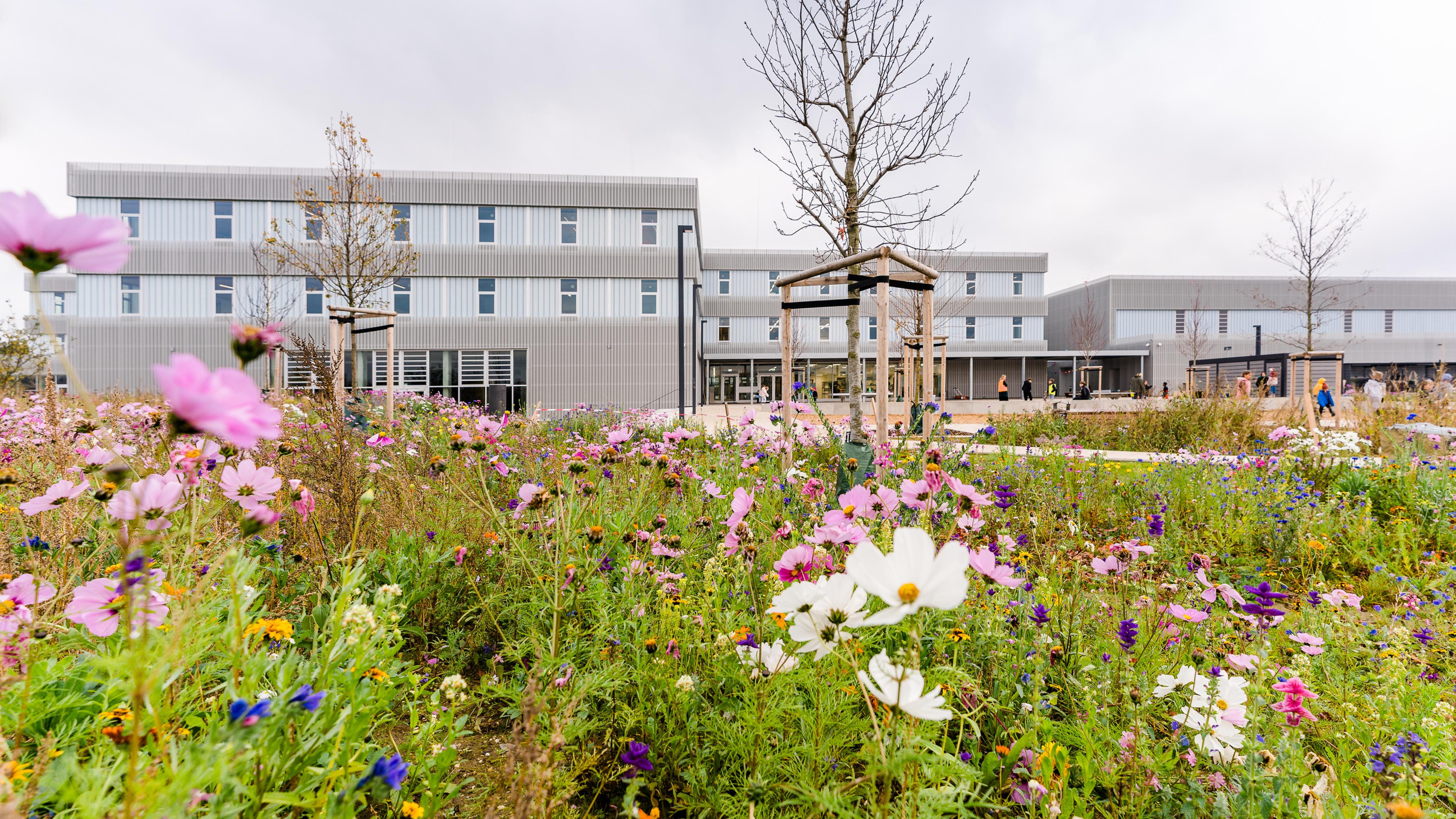 Außenperspektive der dreigeschossigen Schule mit einer bunten Blumenwiese im Vordergrund.