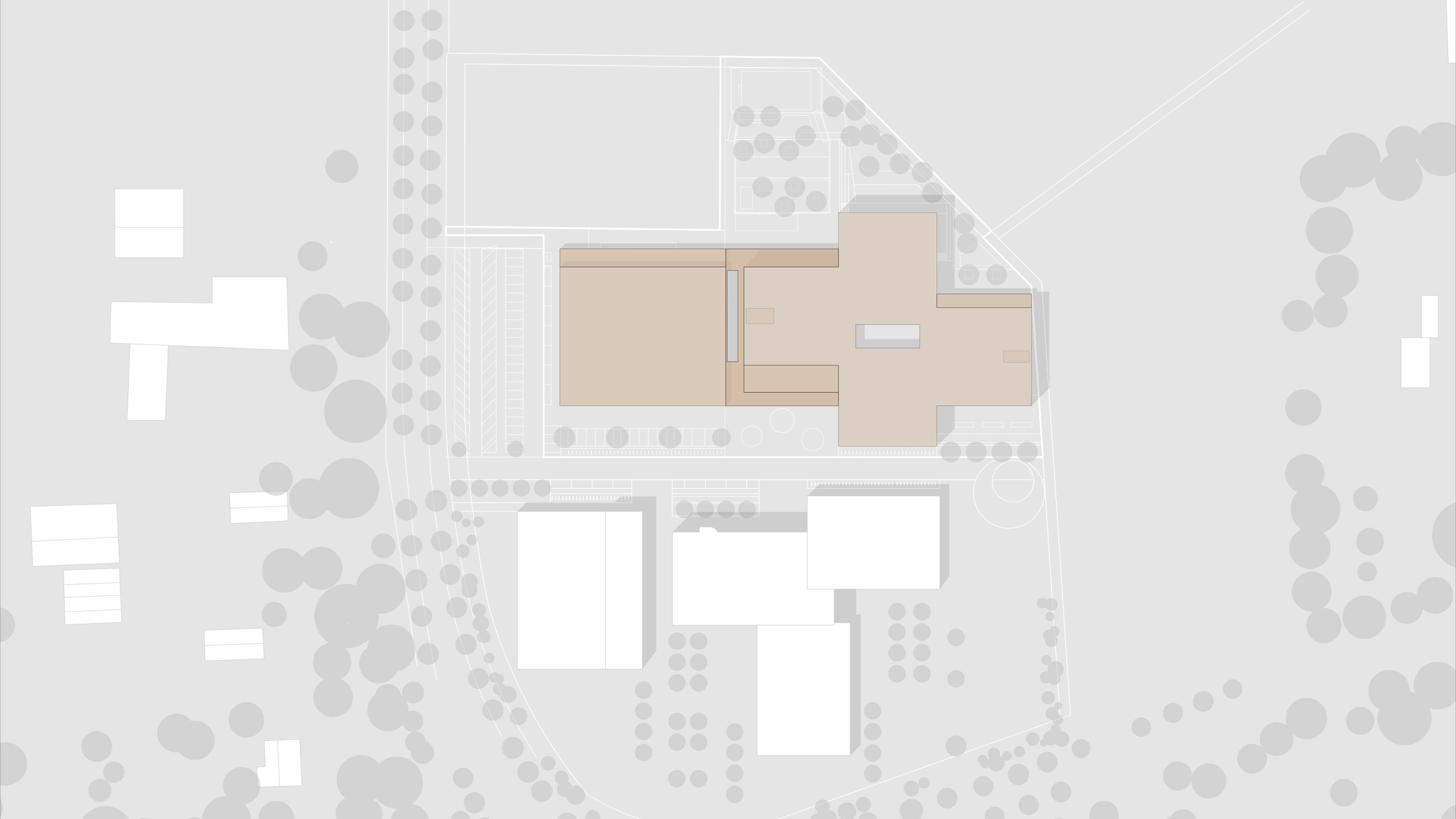 Grafik zeigt den Lageplan des gesamten Schulgeländes inklusive der angrenzenden Nachbarschule.